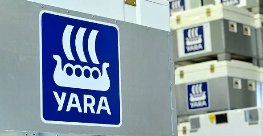 Check out more than 500 job openings at c6 bank, prontmed, picpay and more Internship Program at Yara