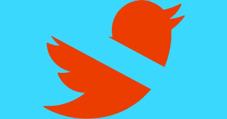 Como denunciar desinformação e fake news no twitter Logo do twitter em tom de vermelho para denunciar desinformação