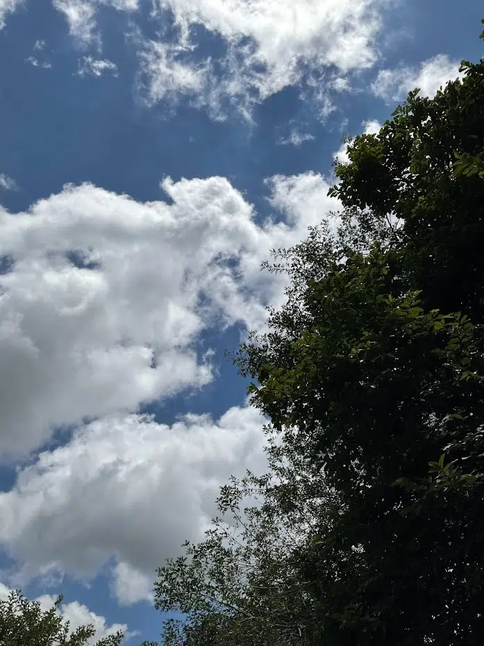 Review: ipad mini 6 é extremamente poderoso e portátil Review: ipad mini 6 é extremamente poderoso e portátil. O ipad mini 6 é pequeno, prático e poderoso. A apple acertou em cheio ao trazer o usb-c para a linha mini, que traz o processador a15 bionic do iphone 13