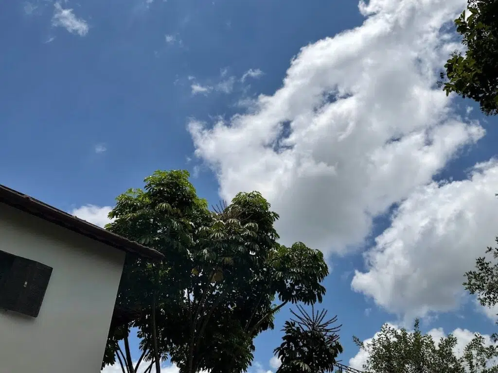 Review: ipad mini 6 é extremamente poderoso e portátil Review: ipad mini 6 é extremamente poderoso e portátil. O ipad mini 6 é pequeno, prático e poderoso. A apple acertou em cheio ao trazer o usb-c para a linha mini, que traz o processador a15 bionic do iphone 13