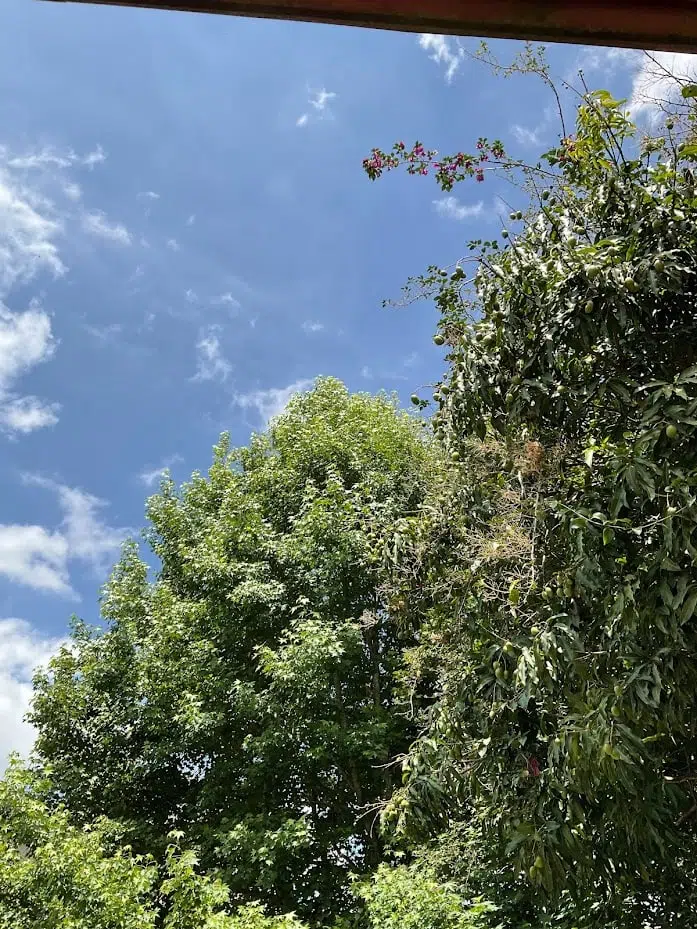 Review: ipad mini 6 é extremamente poderoso e portátil Review: ipad mini 6 é extremamente poderoso e portátil. O ipad mini 6 é pequeno, prático e poderoso. A apple acertou em cheio ao trazer o usb-c para a linha mini, que traz o processador a15 bionic do iphone 13