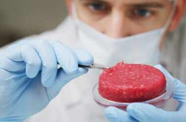 China planeja produzir carne de laboratório em larga escala em até 5 anos