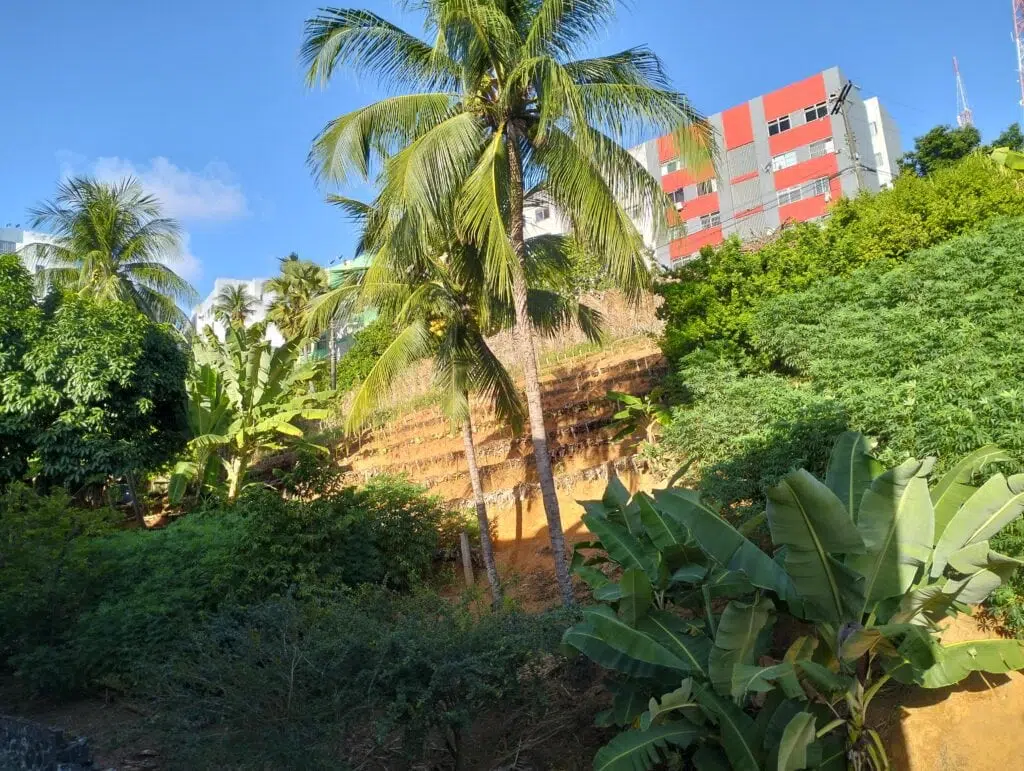 Review: realme 9i traz bom design e desempenho no dia a dia Review: realme 9i traz bom design e desempenho no dia a dia. Modelo chinês traz tela com cores vivas, boa autonomia de bateria e som de qualidade. Confira, a seguir, a nossa análise completa