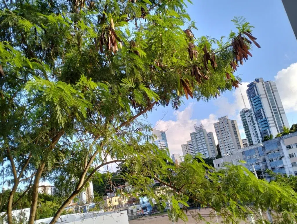 Review: realme 9i traz bom design e desempenho no dia a dia Review: realme 9i traz bom design e desempenho no dia a dia. Modelo chinês traz tela com cores vivas, boa autonomia de bateria e som de qualidade. Confira, a seguir, a nossa análise completa