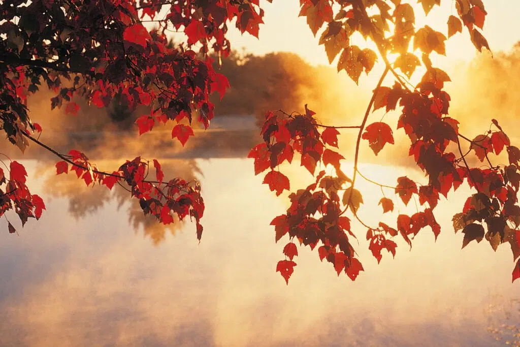 Outono no brasil: saiba o clima da estação em cada região do país Outono no brasil: saiba o clima da estação em cada região do país. Saiba quais mudanças climáticas devem acontecer durante a nova estação e conheça curiosidades e fenômenos naturais esperados para essa época do ano