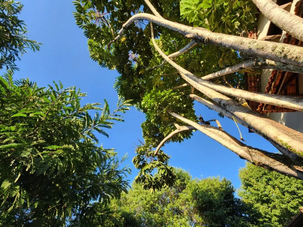 Review galaxy s22: o que tem de novo? Review galaxy s22: o que tem de novo?. O galaxy s22 traz o processador snapdragon entre as novidades, além de melhorias na câmera, principalmente à noite