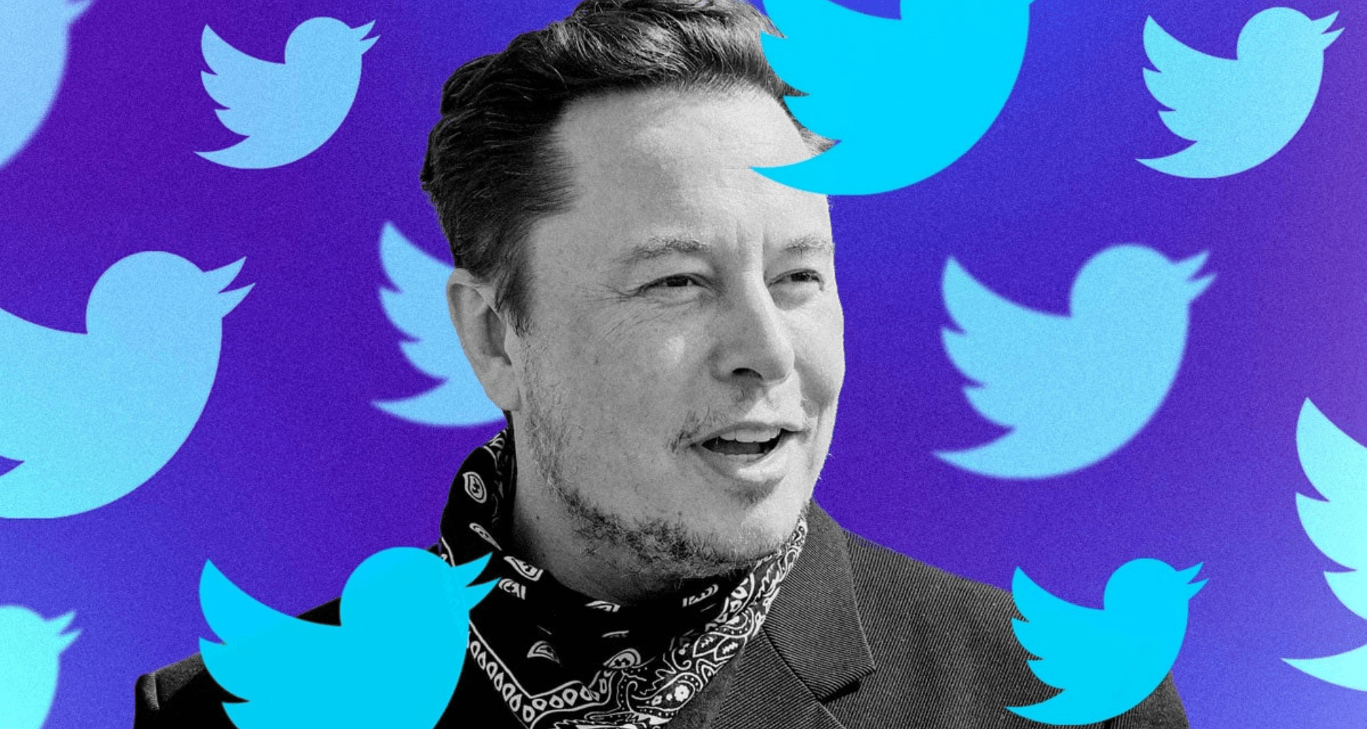 Elon musk na compra do twitter