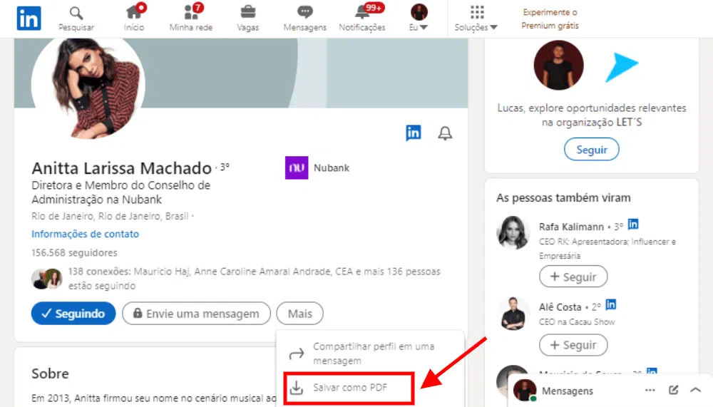 Como fazer o currículo do linkedin em pdf Como baixar o currículo do linkedin em pdf? - captura da tela inicial do perfil da anitta no linkedin para ilustrar como baixar o currículo de outras pessoas em pdf