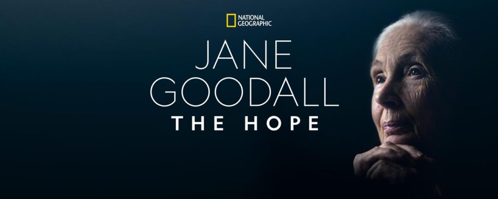 Jane goodall
lançamentos do disney+ e star+ em junho de 2022: ms. Marvel e mais