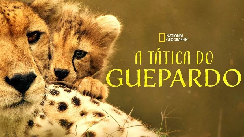 Lançamentos do disney+ e star+ em junho de 2022: ms. Marvel e mais Lançamentos do disney+ e star+ em junho de 2022: ms. Marvel e mais
a tática do guepardo