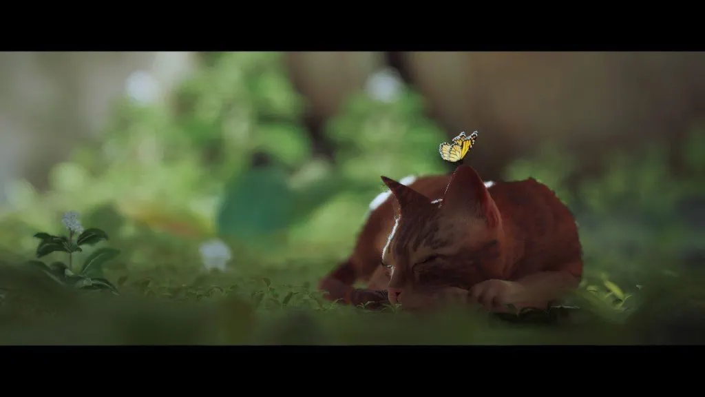 Review: Stray est mignon, amusant et très excitant Image initiale de parasite