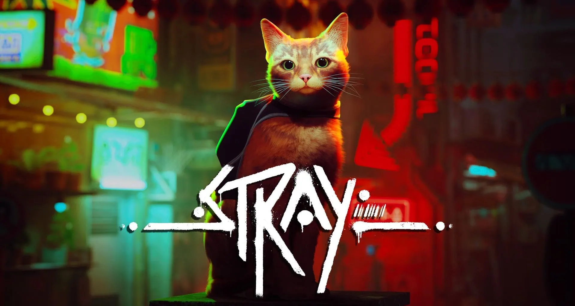 Imagem oficial de stray