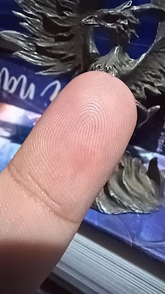 Review: galaxy m53 5g Foto da minha digital