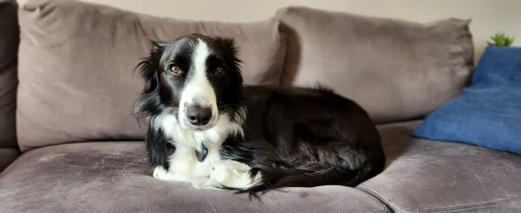 검토: Galaxy Z Flip4 5g는 혁신보다 아름다움에 더 끌립니다. 검토: Galaxy Z Flip4 5g는 혁신보다 아름다움에 더 끌립니다.