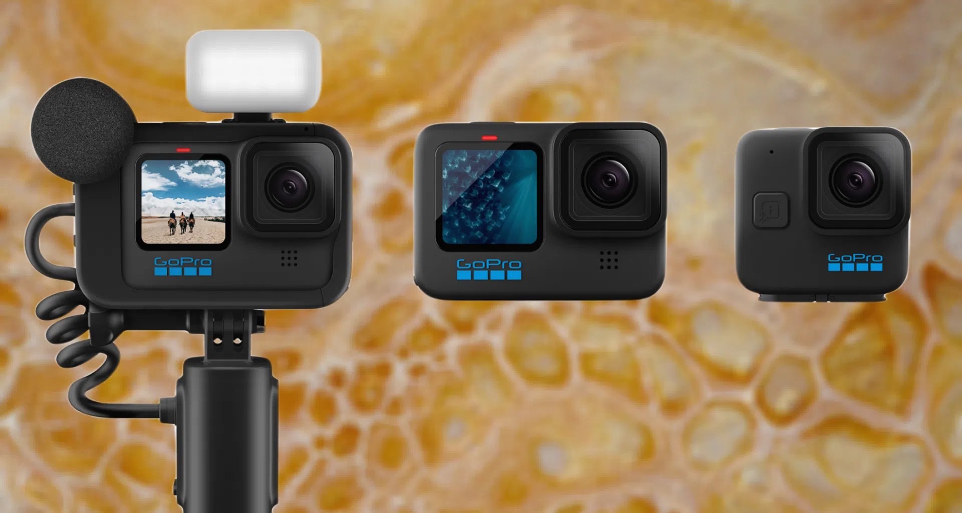 Linha gopro hero11