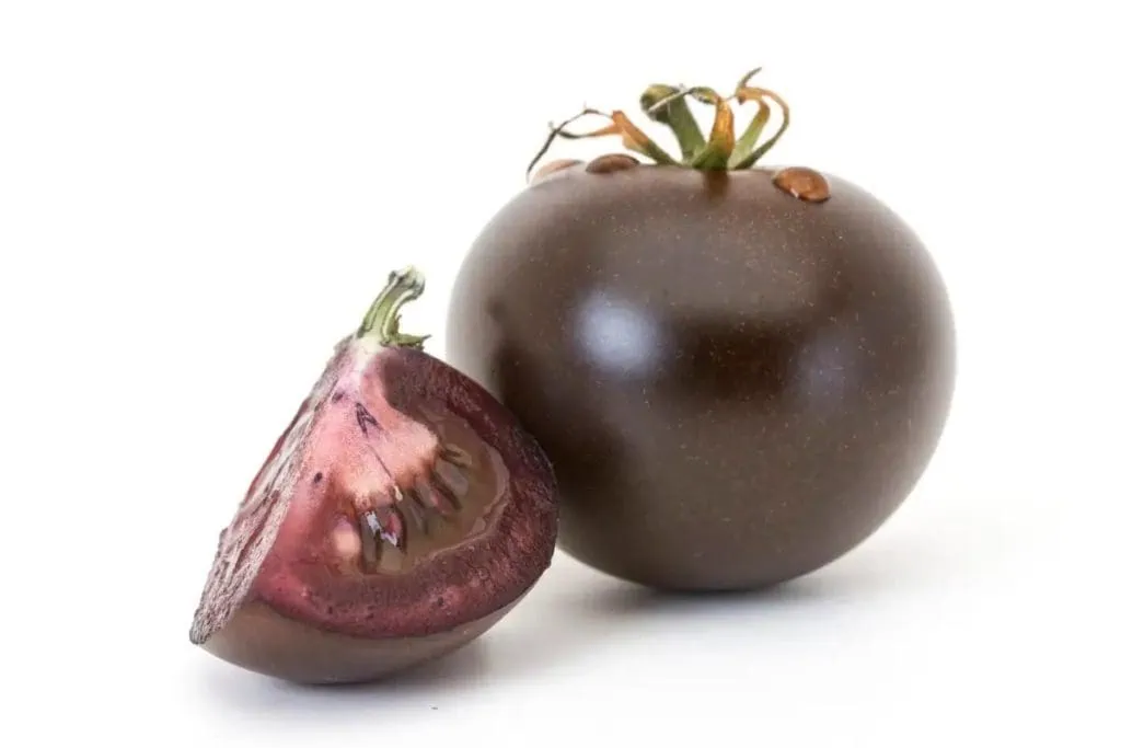 Lila Tomate? Obst mit gesundheitlichen Vorteilen wird in den USA vermarktet Lila Tomate? Obst mit gesundheitlichen Vorteilen wird in den USA vermarktet. Die lila Tomate, die mit genetischer Veränderung entwickelt wurde und positive Ergebnisse bei krebskranken Tiermeerschweinchen hatte, wurde von der FDA für die Vermarktung zugelassen