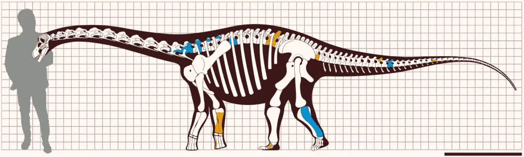 Das erste fliegende Fahrrad der Welt | Trio Das Showmetech-Trio der Woche brachte Dinosaurierfossilien, die in Ibirá im Inneren von São Paulo gefunden wurden. Wiedergabe: Zeitschrift Galileo
