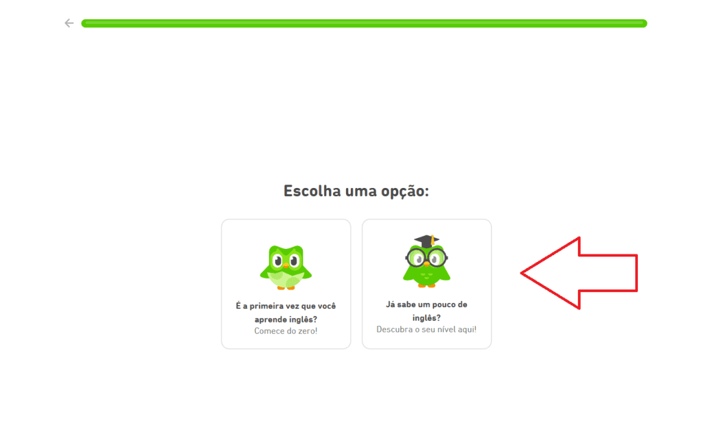 Aprenda idiomas de forma divertida e eficaz com o duolingo Escolha um nível para começar