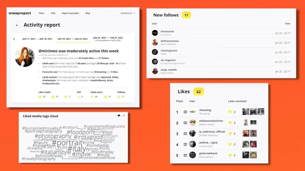 Como saber o que a pessoa curtiu no instagram com o snoopreport Prints das partes de um relatório gerado pelo snoopreport