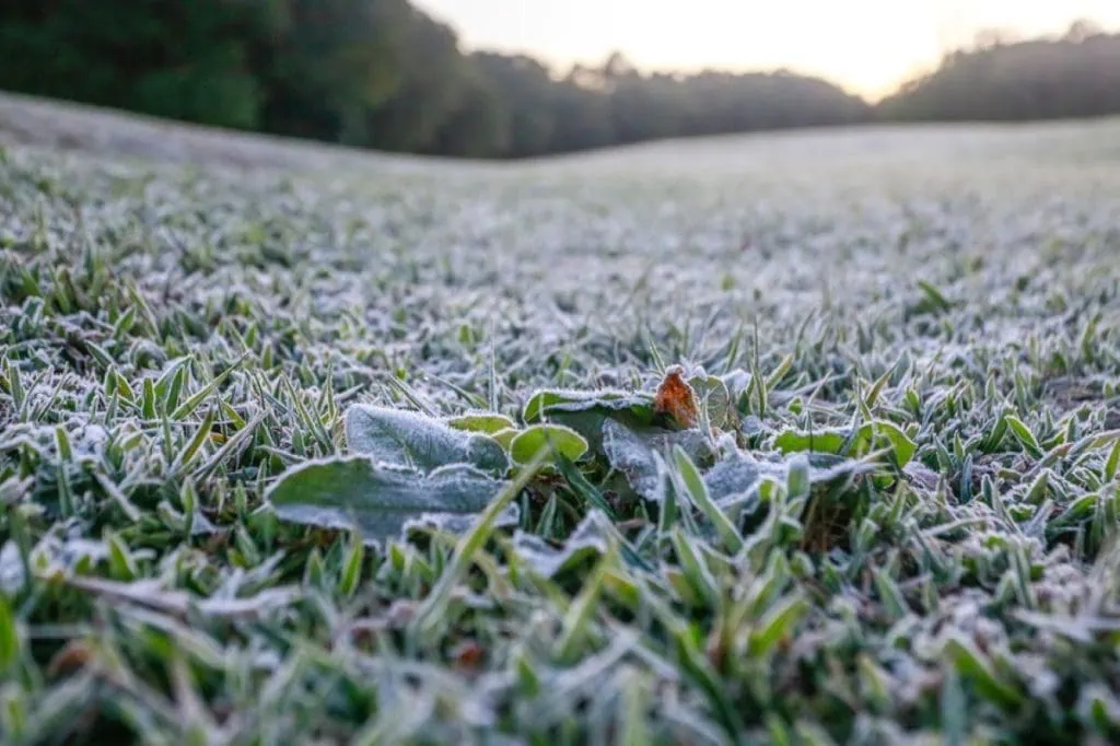 Sin precedentes: frente frío fuera de temporada podría traer nieve en el sur en noviembre Registro de patio cubierto de hielo después de la nieve en el sur