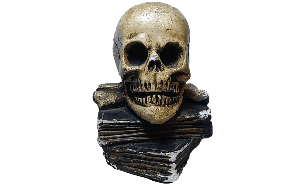 Руководство, полное полезных советов по фотосъемке продуктов Руководство, полное полезных советов по фотосъемке продуктов