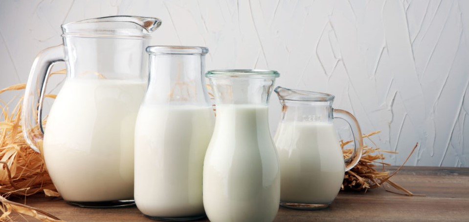 O leite contribui para o crescimento da massa muscular