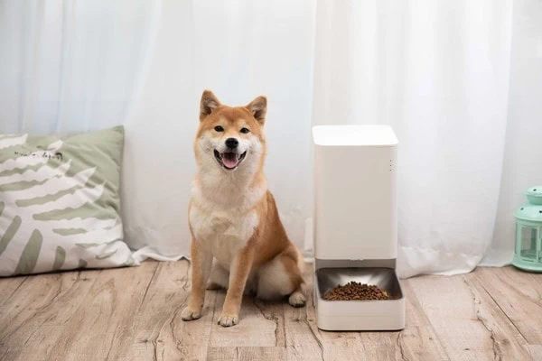 Novos alimentador e bebedouro inteligentes da xiaomi chegam ao brasil Alimentador e bebedouro inteligentes da xiaomi para cuidados com pets, com tecnologia moderna e fácil controle pelo smartphone.