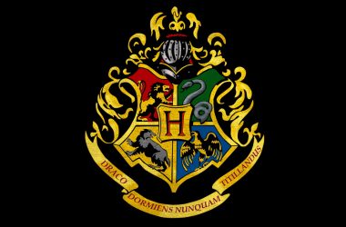 Escudo das casas de hogwarts com símbolos e cores distintas para cada uma.