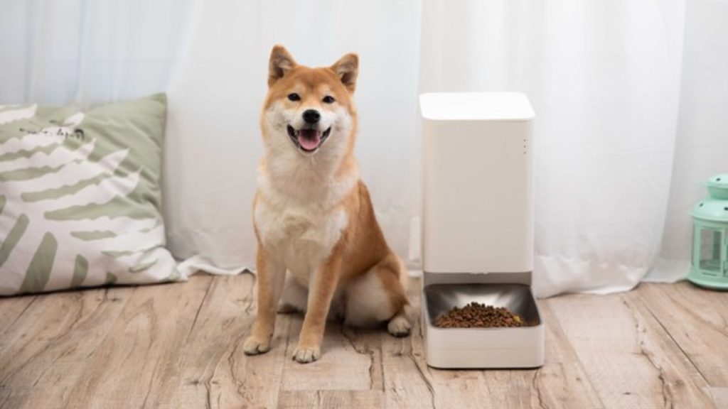 Alimentador inteligente xiaomi para pets permite controle remoto da comida do seu cão ou gato, economizando tempo.