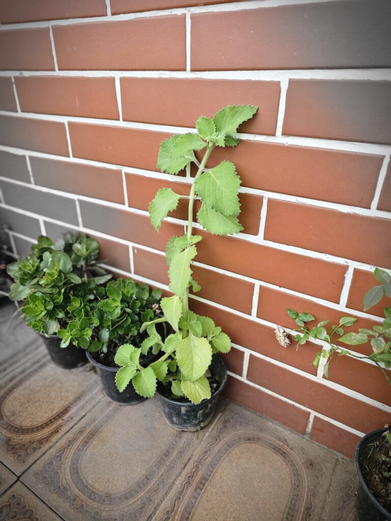 Review: galaxy s23 ultra mantém design mas melhora nas funções Review: galaxy s23 ultra mantém design mas melhora nas funções. O novíssimo galaxy s23 ultra da samsung mantém a aparência, mas apresenta mudanças importantes na duração de bateria e câmeras. Entenda