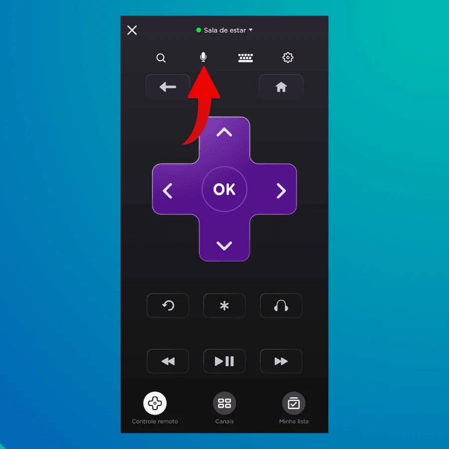 13 dicas e truques para roku express e roku tv .