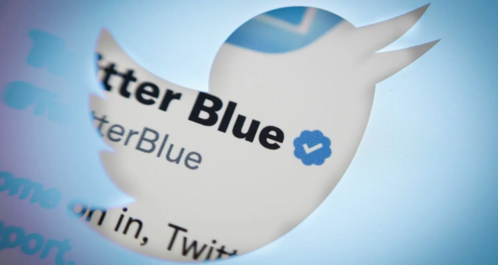 Enquetes do twitter serão exclusivas para usuários twitter blue. Algoritmo da rede social também recomendará apenas contas twitter blue na aba para você. Novidades vêm sendo criticada por especialistas