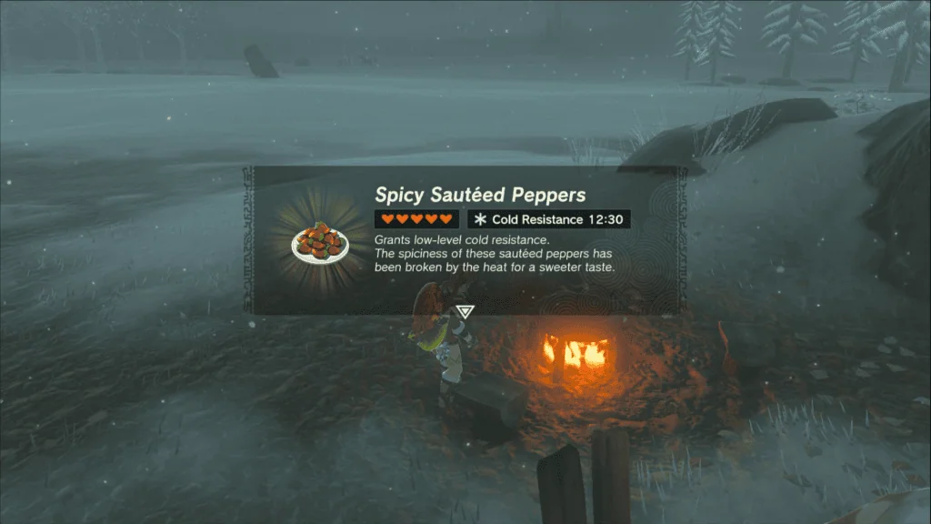 Dicas e truques para dominar tears of the kingdom Link cozinhando em tears of the kingdom