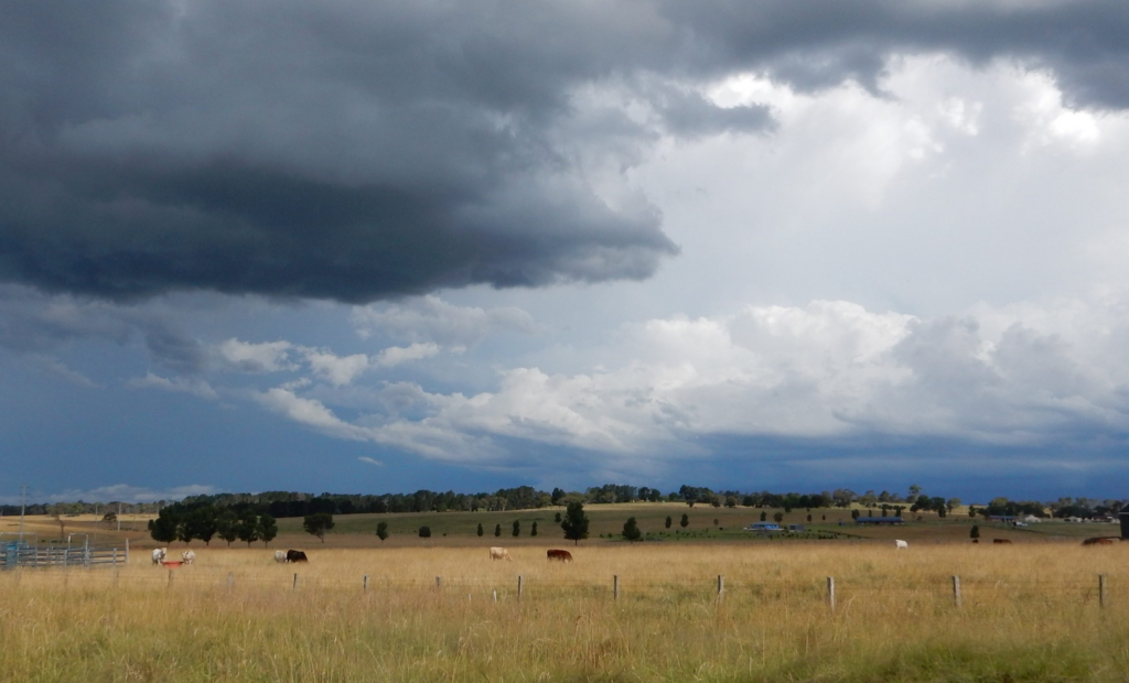 Geração de energia t alt | campo aberto, com mato seco, encoberto por um céu nublado