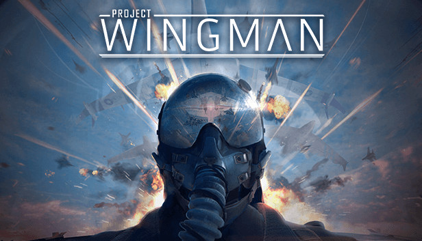 Project wingman: pilote caças incríveis em batalhas aéreas emocionantes e torne-se o ás dos céus. Imagem: steam
