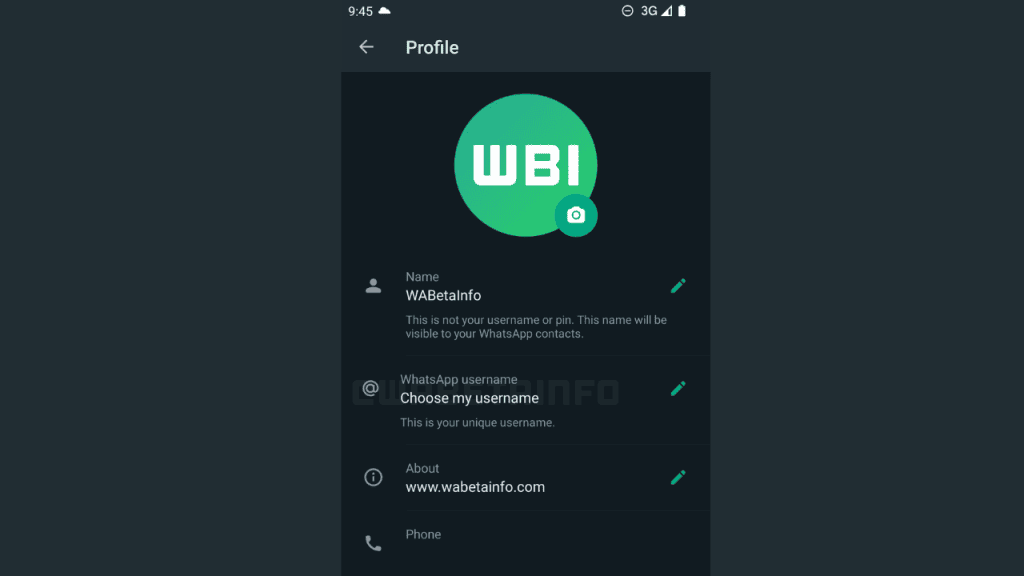 Whatsapp otterrà "nomi utente" per gli account Esempio di configurazione del nome utente negli account whatsapp