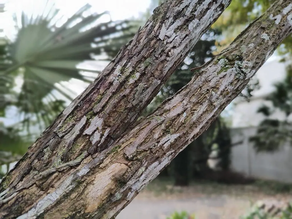 Review motorola razr 40 ultra: telas de encher os olhos Review motorola razr 40 ultra: telas de encher os olhos. A motorola fez um trabalho excepcional no razr 40 ultra. A fluidez das telas e do sistema são ponto alto, além da altíssima qualidade de construção. Vem conhecer o aparelho