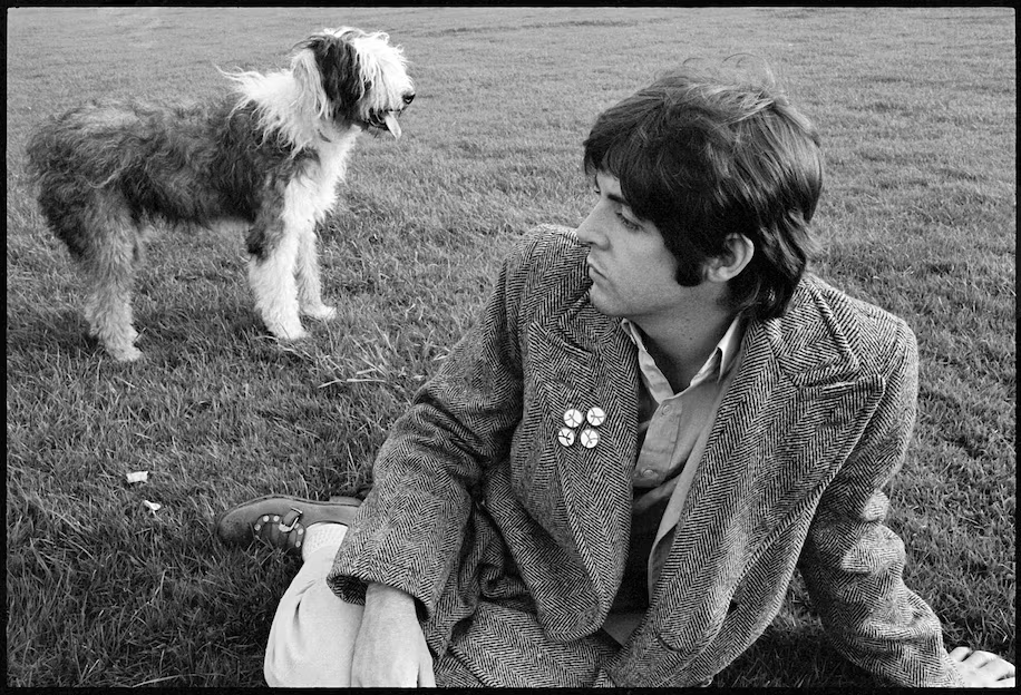 Paul mccartney t alt preto e branco | paul visto sentado sobre a grama, mais à frente; ao seu lado esq. Está um cachorro, em pé, também sobre a grama