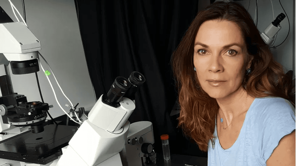 Embrião humano sintético é criado em laboratório Żernicka-goetz talt seg mulher vista olhando para a frente, mais à esq. Da imagem, ao lado de um microscópico