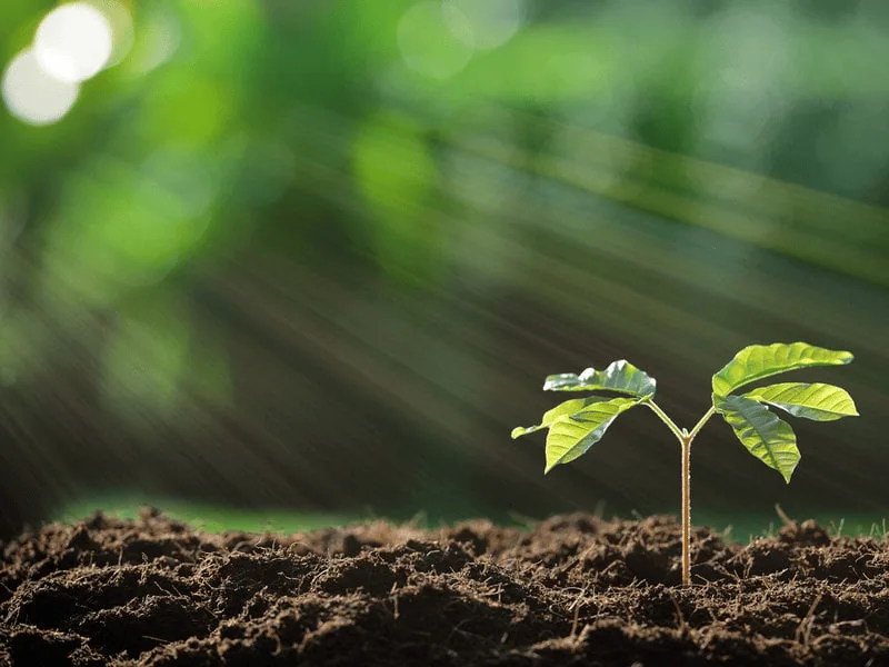 Ai superinteligente impossível de controlar | trio As pesquisas aprofundadas trouxeram essa novidade ao campo científico. Imagem: fatos desconhecidos