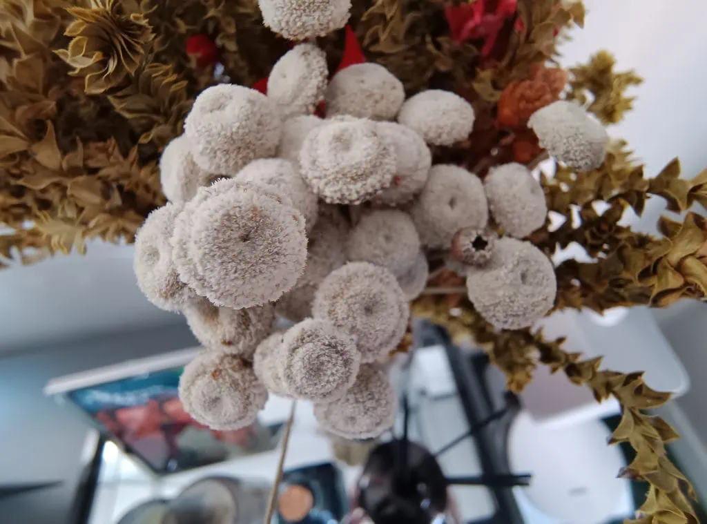 Review: motorola edge 40 acerta em todos os pontos Review: motorola edge 40 acerta em todos os pontos. Nova opção de smartphone premium se destaca por bateria de longa duração, processador potente câmeras de tirar o fôlego. Veja o que achamos!