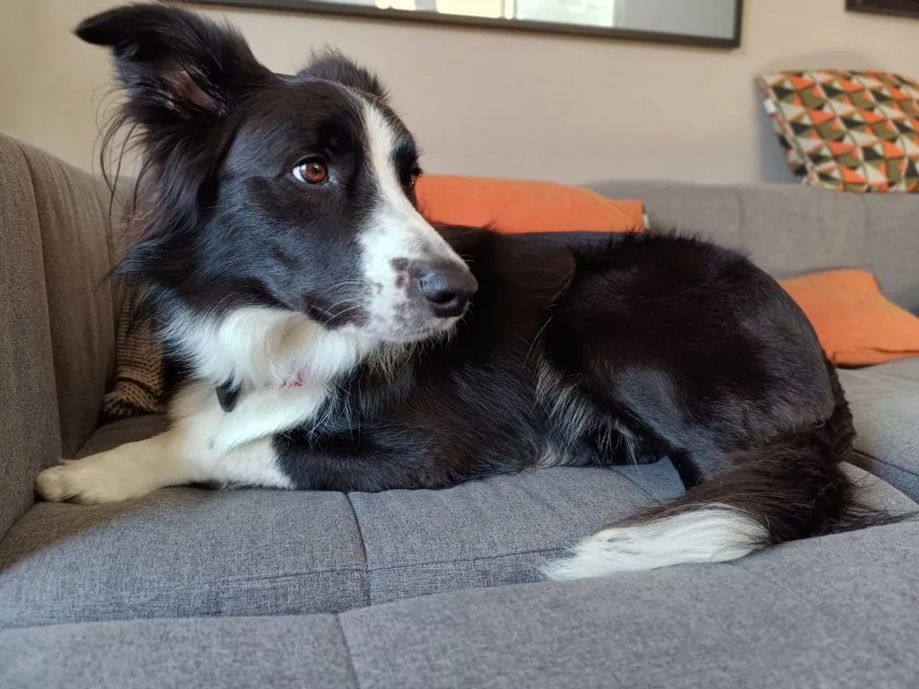 Review: motorola edge 40 acerta em todos os pontos Review: motorola edge 40 acerta em todos os pontos. Nova opção de smartphone premium se destaca por bateria de longa duração, processador potente câmeras de tirar o fôlego. Veja o que achamos!