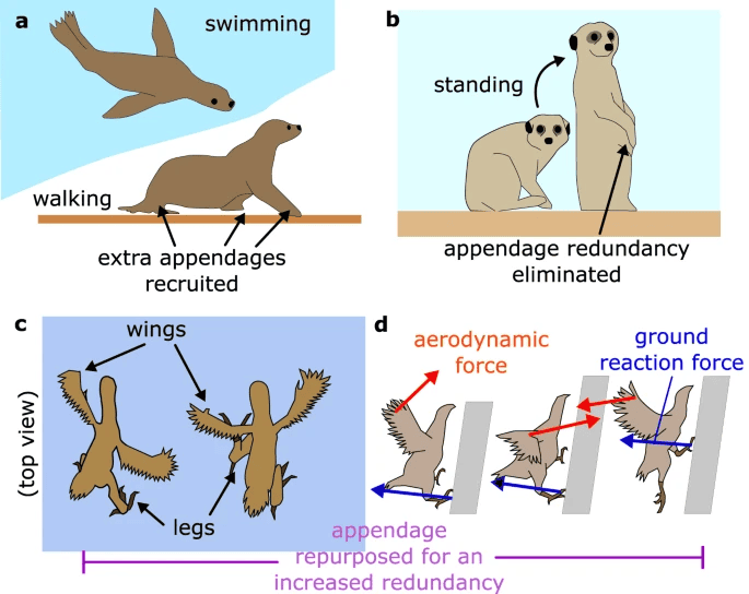 Inteligência artificial t alt animais usados para inspirar o projeto do drone