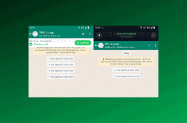 Chat em grupo do whatsapp com mensagens de chamadas de voz ativadas.
