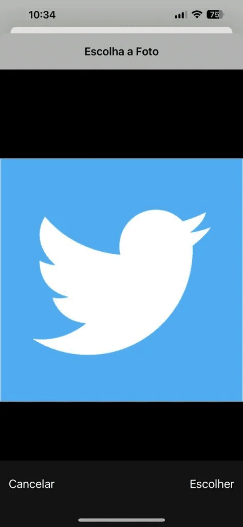 Como mudar os ícones dos aplicativos no iphone Tutorial para alterar os ícones dos aplicativos no iphone. Passo 10: faça os ajustes, se tiver. Imagem: lucas gomes, smt