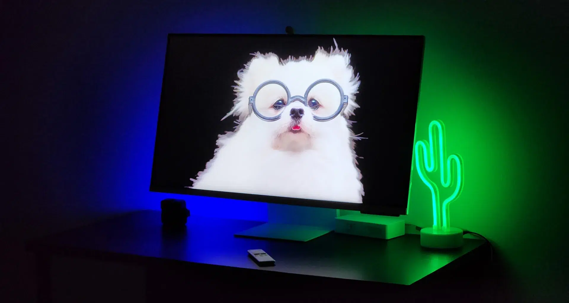 Smart monitor samsung m8 2023 com cachorro branco exibido na tela. Fundo preto com luz verde no lado direito e luz azul no lado esquerdo.