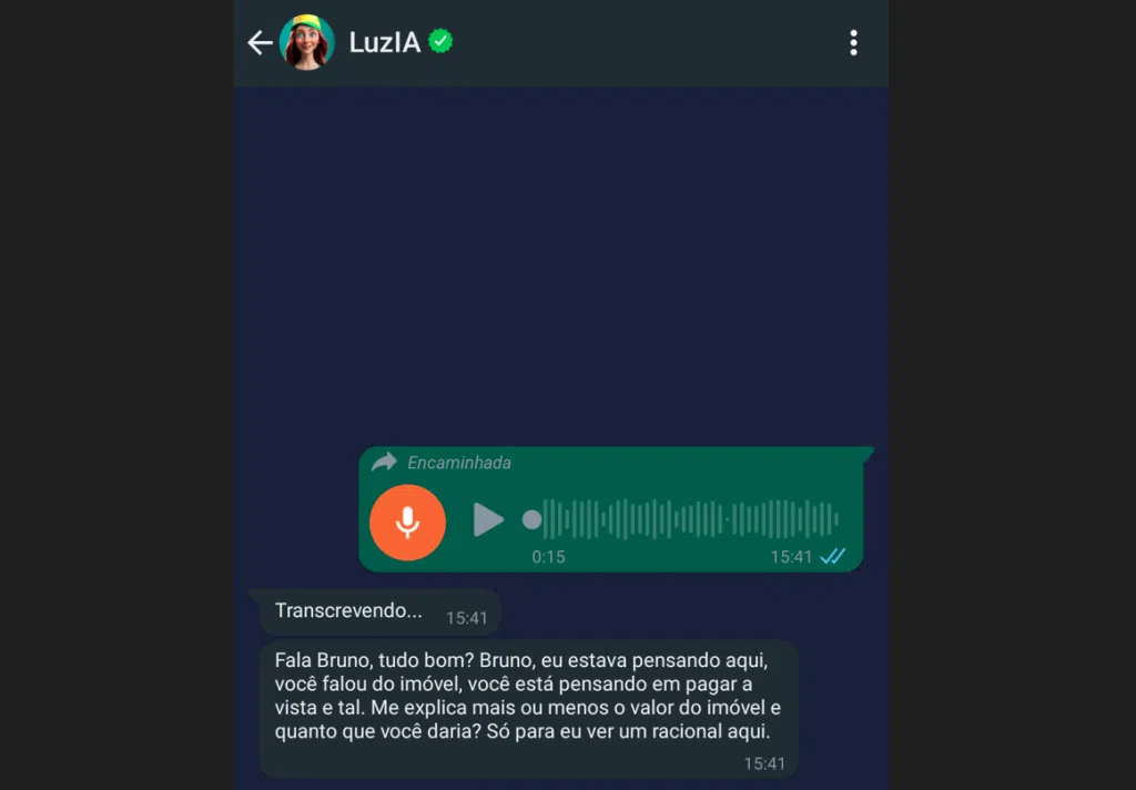 Basta encaminhar o áudio de qualquer outra conversa, para a luzia iniciar a transcrição