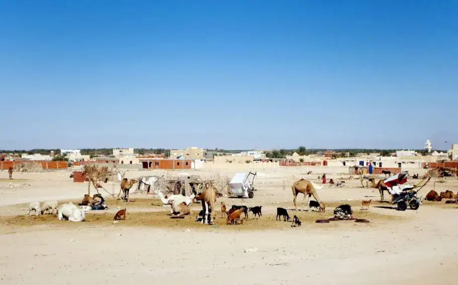 Ver los lugares más calientes del mundo. Vea los lugares más calientes del mundo. Descubre destinos con temperaturas tan extremas que desafían la resistencia humana y sorprende con la intensidad del calor.