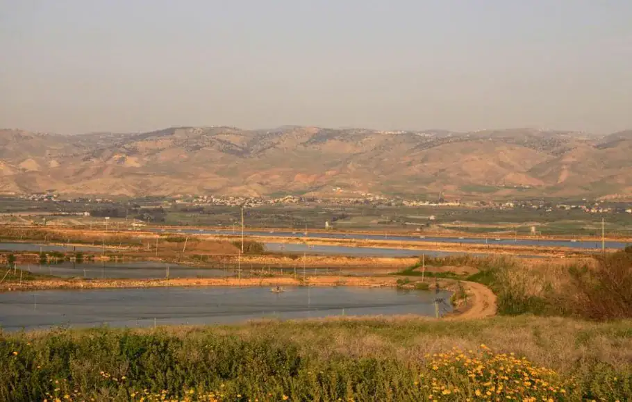 Ver los lugares más calientes del mundo. Vea los lugares más calientes del mundo. Descubre destinos con temperaturas tan extremas que desafían la resistencia humana y sorprende con la intensidad del calor.