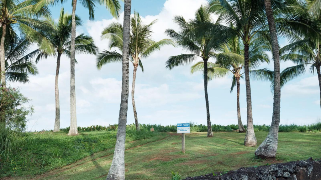 Mark zuckerberg está construindo um bunker secreto no havaí. Projeto de ceo possui duas mansões, meia dúzia de prédios e 5. 000 metros quadrados; saiba mais